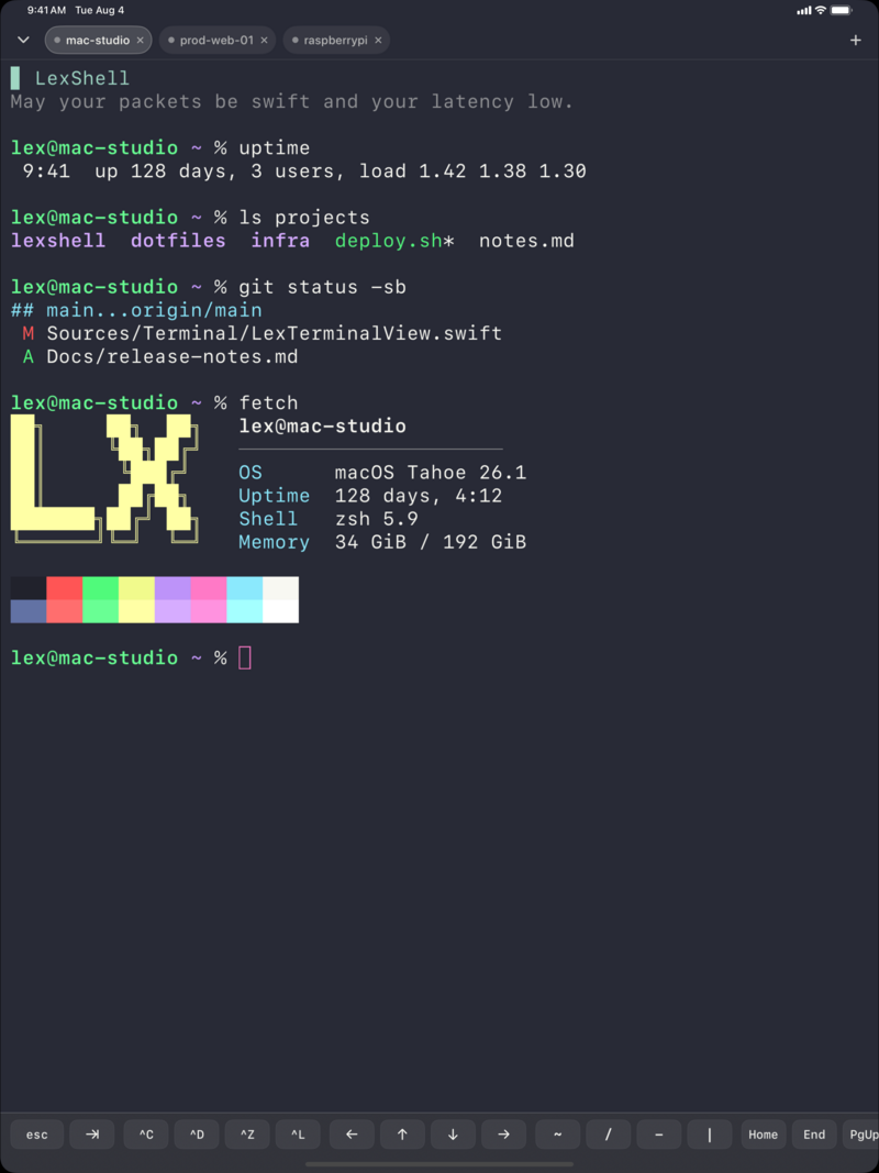LexShell terminal on iPad in the purple-and-pink Grape Soda theme