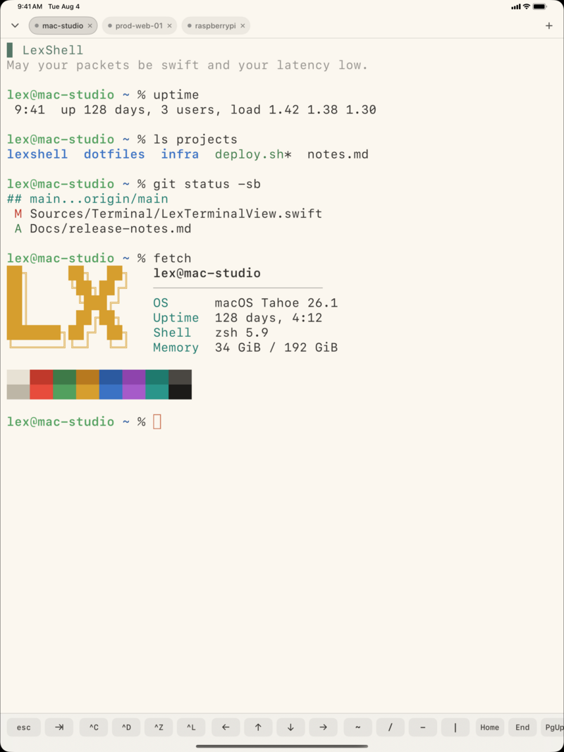 LexShell terminal on iPad in the light Sunny-Side Up theme on a warm paper background
