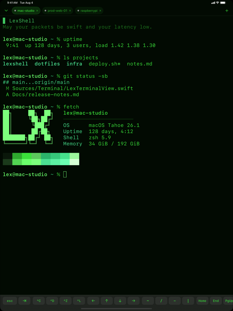 LexShell terminal on iPad in the green-on-black Glowworm theme